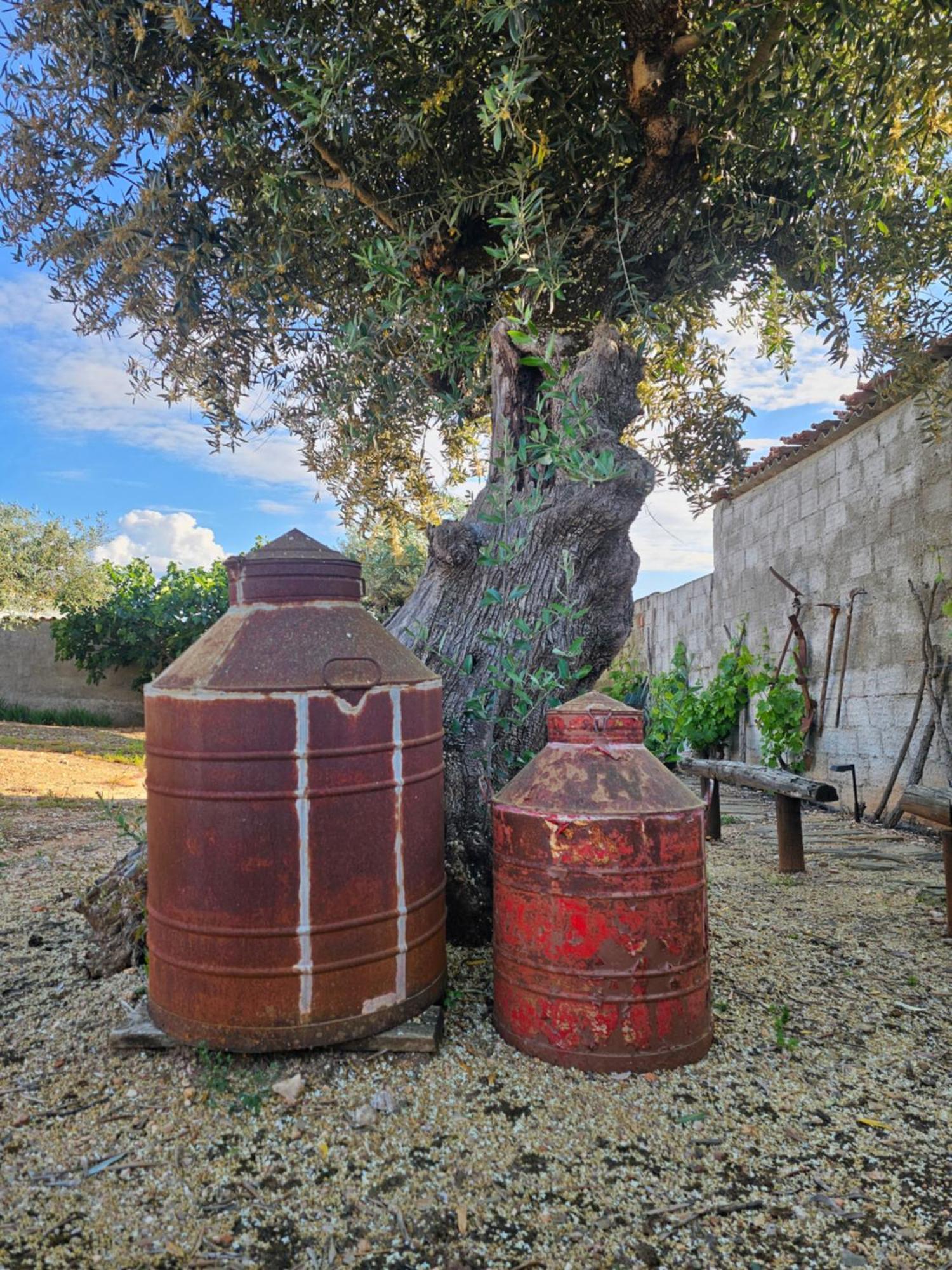 Russa Al Villa Lentiscais Buitenkant foto